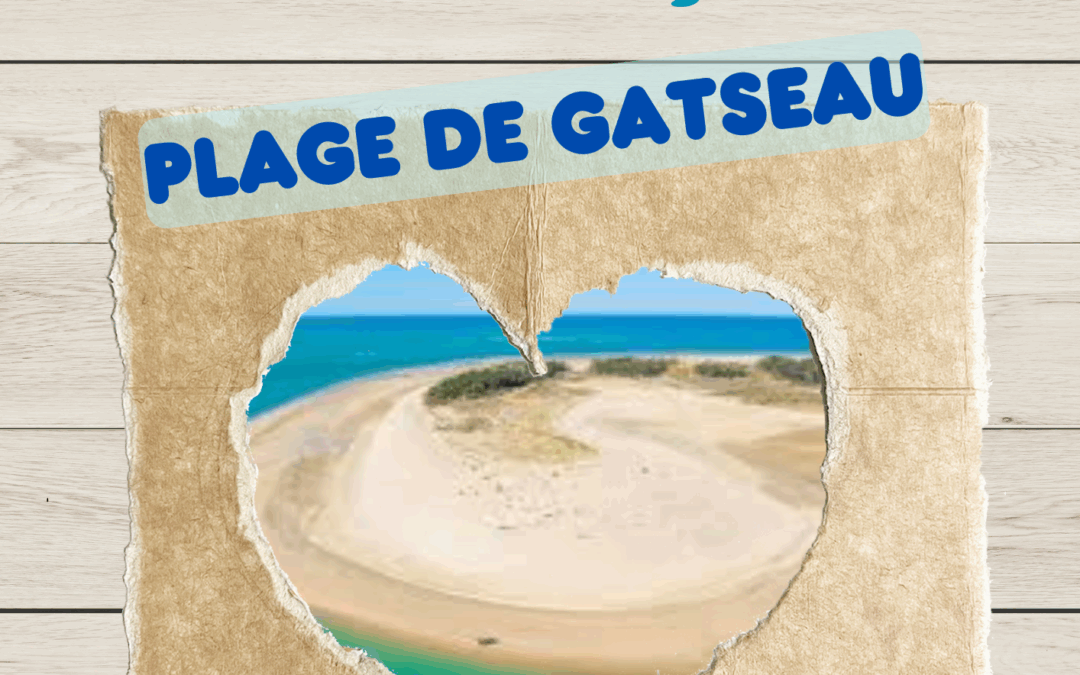 Vendredi 18 juillet – Sortie Plage de Gatseau
